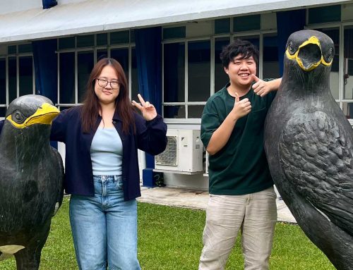 Six Months in the Wok